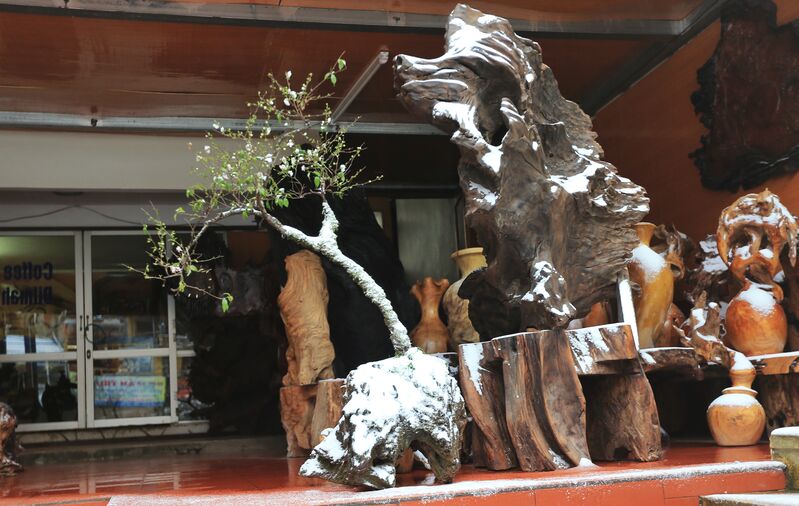 4CC59568 8D62 4531 B0B1 EAB4EAF22751