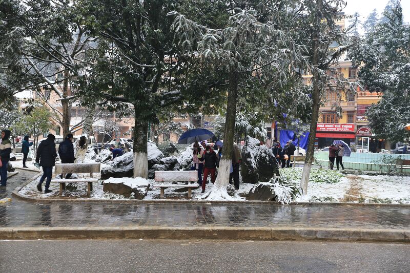 6BCC6DA6 A84B 4160 9EC7 95F7A4661DE1