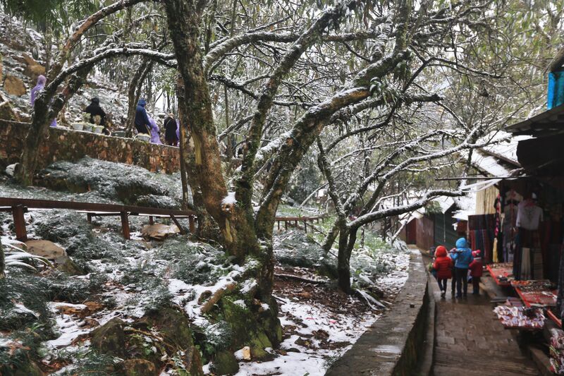 995650F9 E33F 458E AA9D 0577032AEBE8