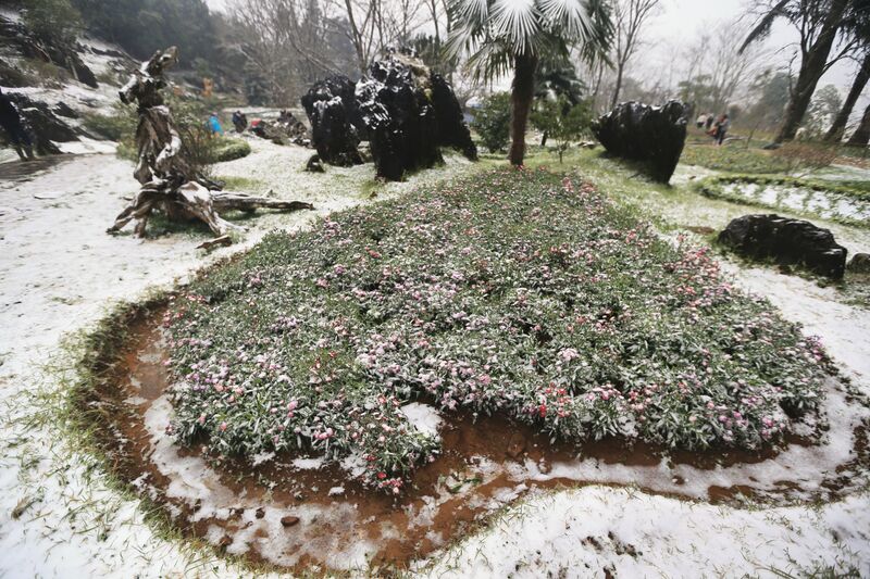 816C9E77 DE36 4035 BE1B ED7576465BE2