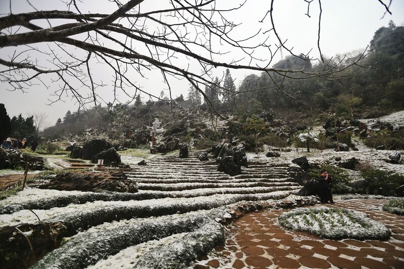 2488B811 3821 4C04 8796 DD3E9A01B727