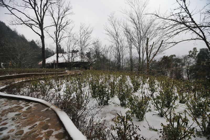 F9B1CB85 B4E3 47E1 B5BD 486B5F18D813