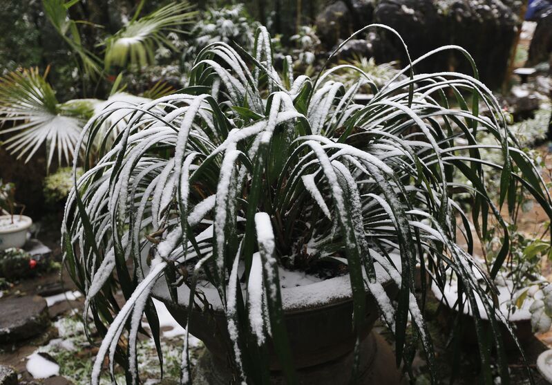 861DBF3B D3D6 43A9 B7B1 78944C01E050