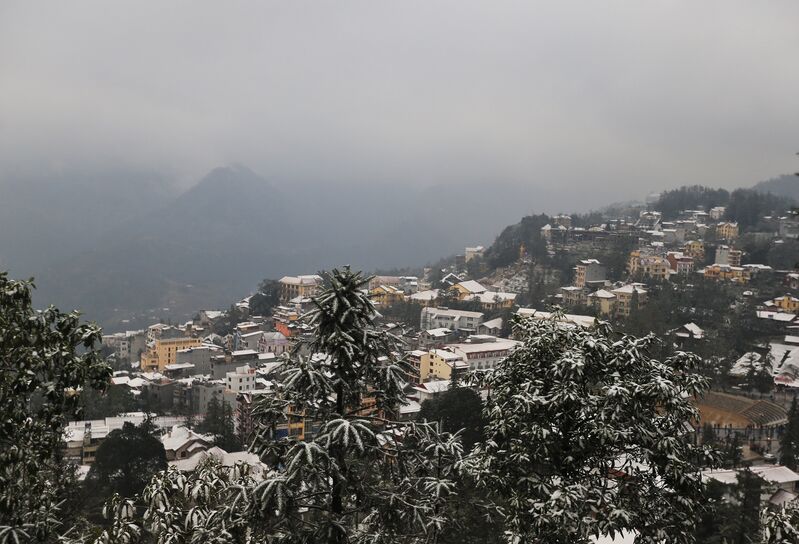 0397E79E 18D2 4238 A123 05C786B8EE93