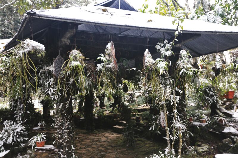 D7E095A8 A925 467E 9F77 3A864A6DBBBF