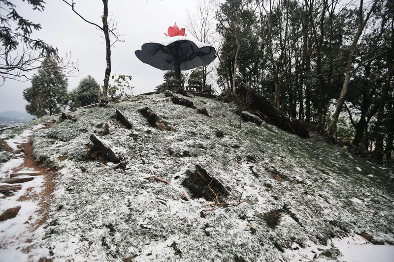 A131E2FD 20C9 49B3 839A C6F7DCC944C9