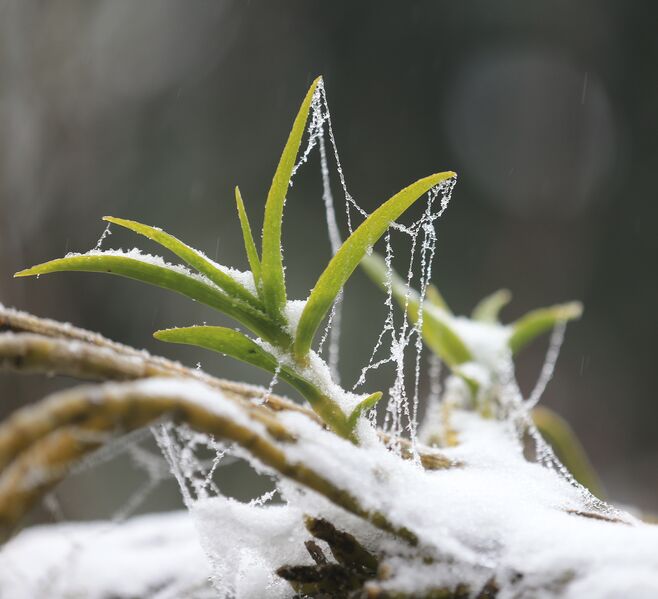 7B155269 FD4B 4F17 B7B3 0DE71D138AB6