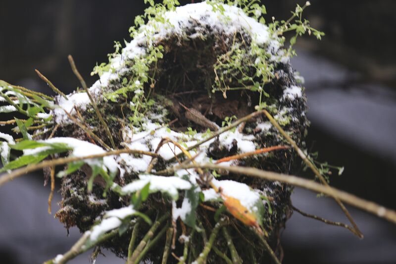 CC22D41E 15A6 4260 952B E93CD55202A3