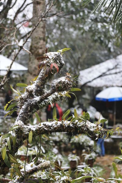 F8A6F1EC A5E8 4803 8310 3F782BC0ED6C