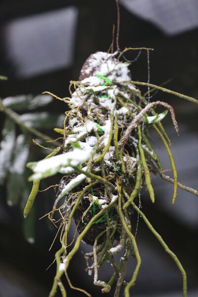 CF26DA8D 6B56 428B AF2F A2AAC47C99D9