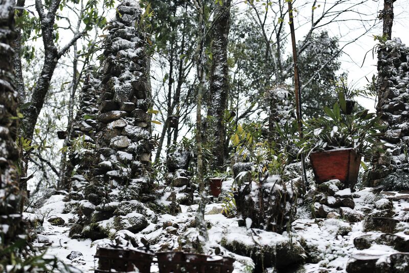 FA2E4037 50AA 4258 90C0 22370F7699EF