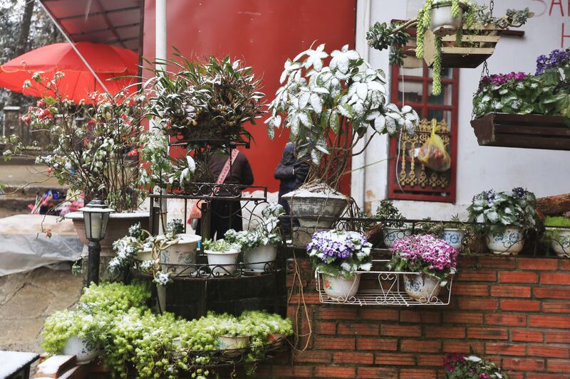 17DF36CE 68DA 4677 86B6 AFC895C1B8F3