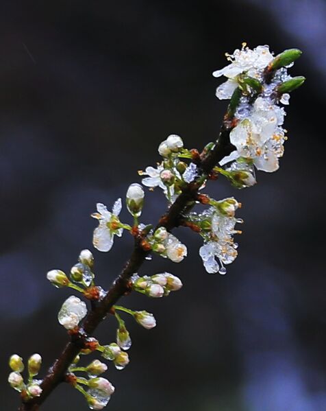 6CAE0C86 AF65 404E B445 27CB6018022A