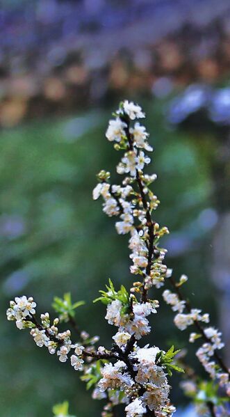 7D62DBF0 7D03 4982 956D 8F9D010BFD13