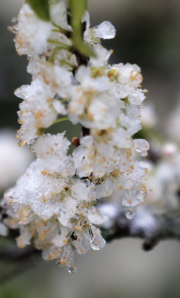 5192E9F4 2602 4AE3 8794 76E330636087