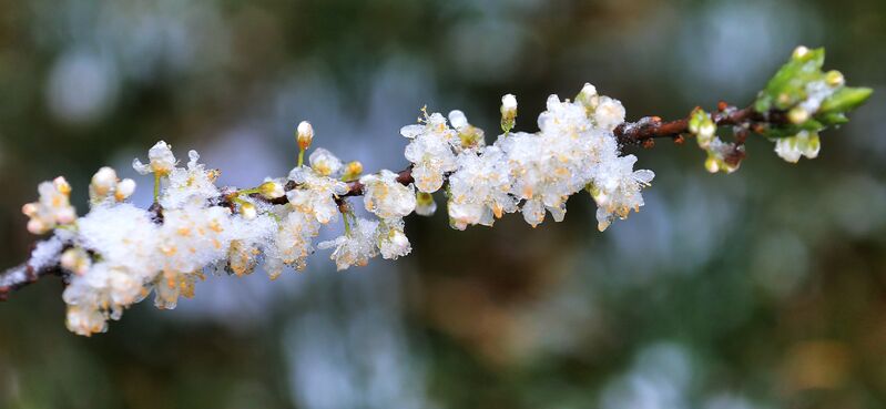 68ADF578 0062 450B AB18 3E941F93CDD3