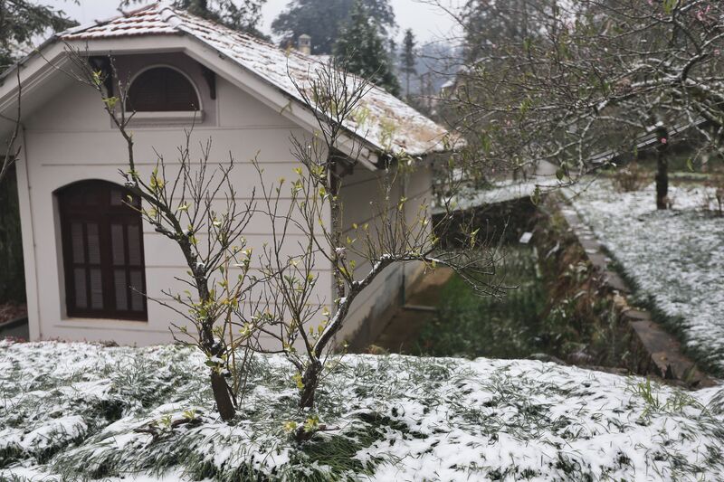 6937451C FD5C 45A2 A8CF 417613C76DC3