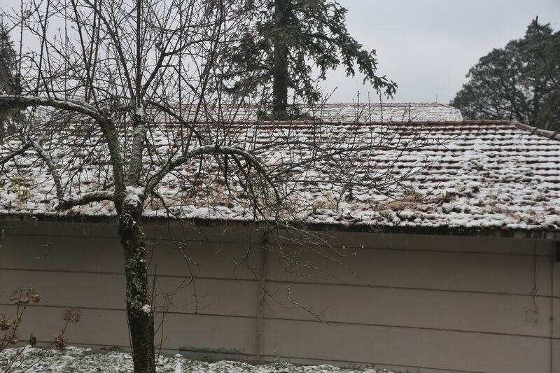 720FAF6B 637E 4F7C 9D87 AECF0A1A1277