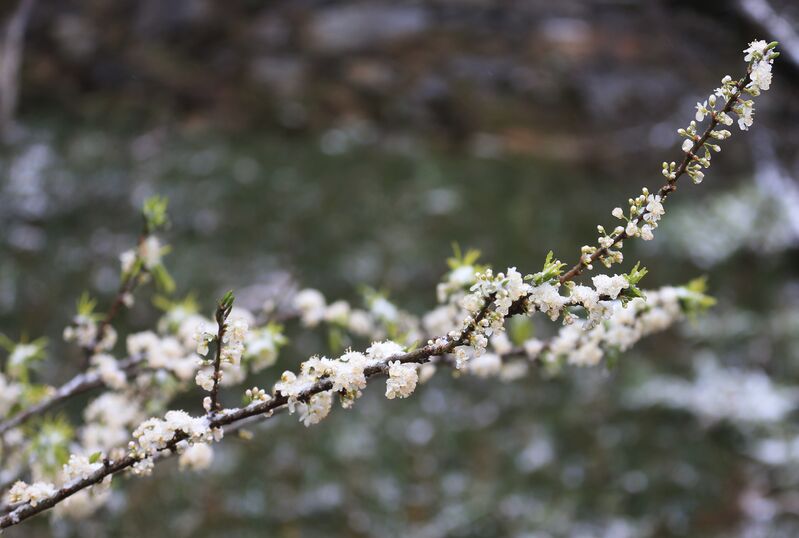 FFA6CA00 AE8E 4003 8347 446715FDB072