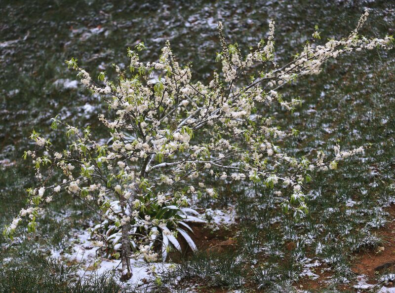 C227AA34 6786 4499 81EC F1DA75966215