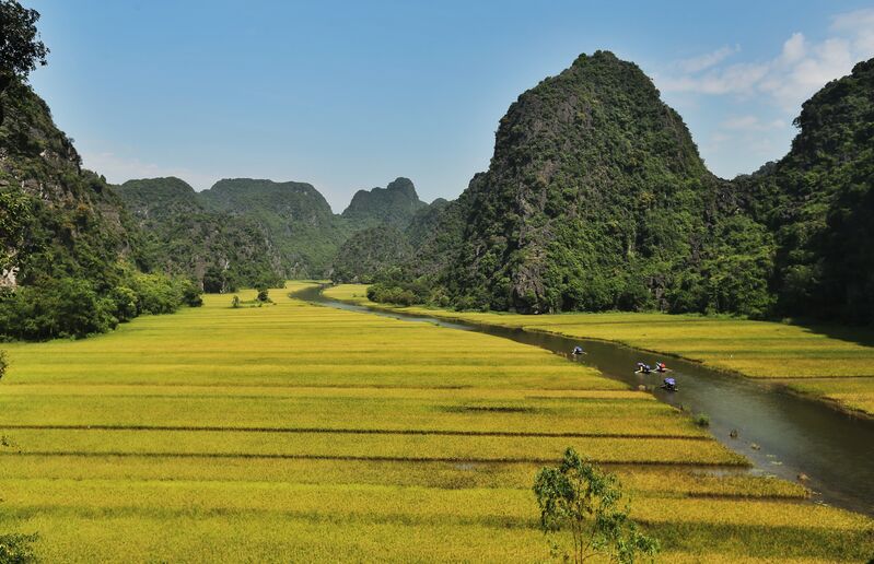 21B1965F 2B4F 4C61 BF9F FE405D03A8A4 21B1965F 2B4F 4C61 BF9F FE405D03A8A4