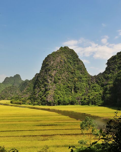 FFBD850F 8008 4D23 87CA A516FA1391F7 FFBD850F 8008 4D23 87CA A516FA1391F7