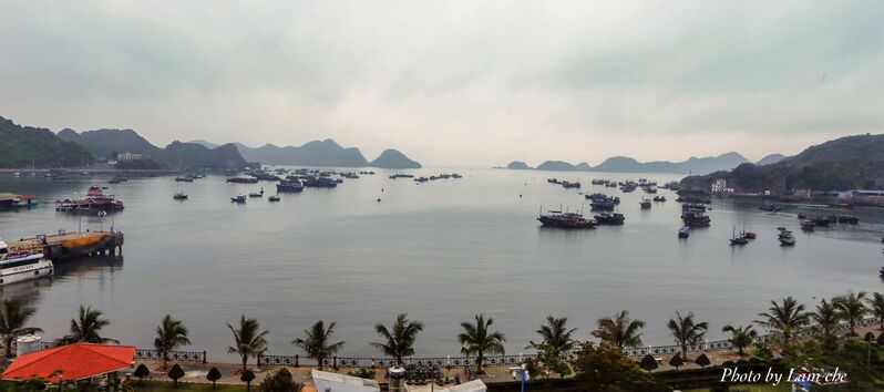 E3228C3C EEE7 4115 9305 0544F089EFBC E3228C3C EEE7 4115 9305 0544F089EFBC