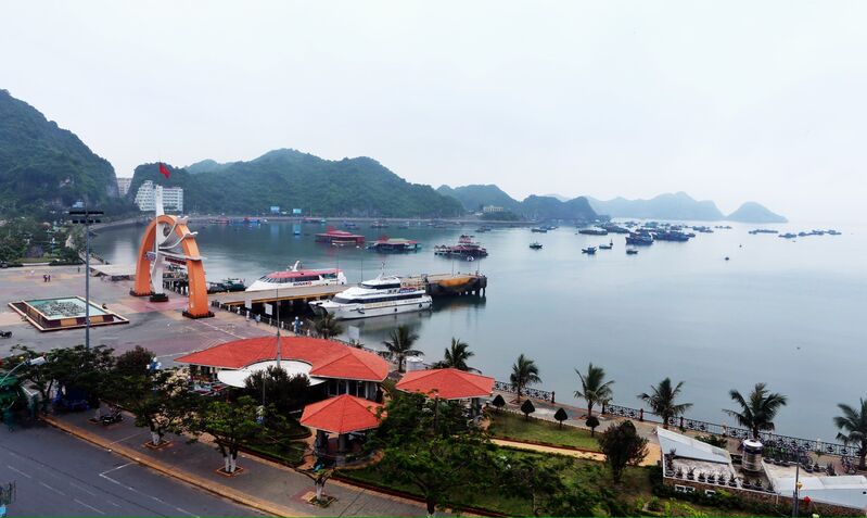 1D130B64 2473 4472 828E D1F601763796 1D130B64 2473 4472 828E D1F601763796