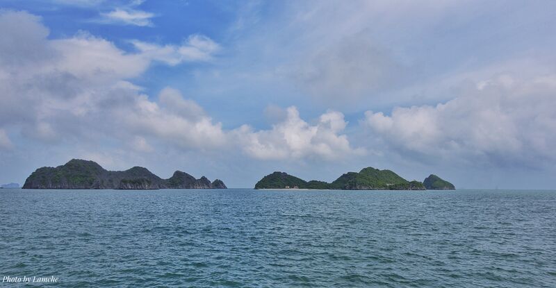 DE074A54 DED9 4365 B37F CCCCE51F791D DE074A54 DED9 4365 B37F CCCCE51F791D