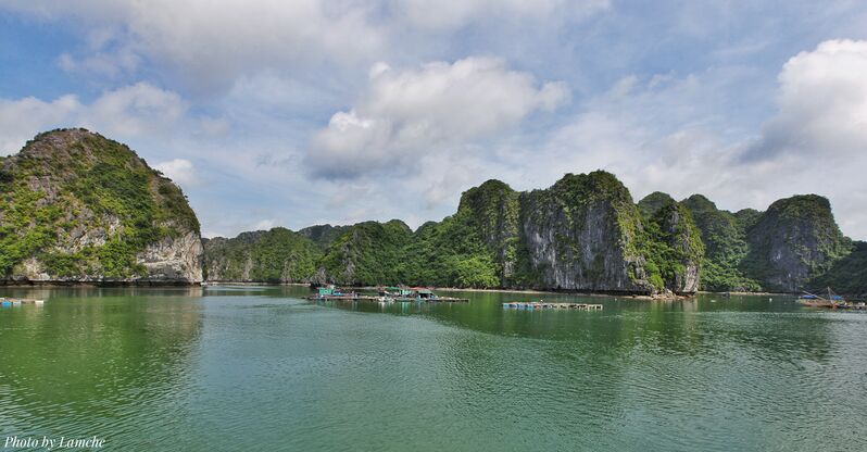 D5DE5E99 56E0 4042 A934 0AAD4C3DC16F D5DE5E99 56E0 4042 A934 0AAD4C3DC16F