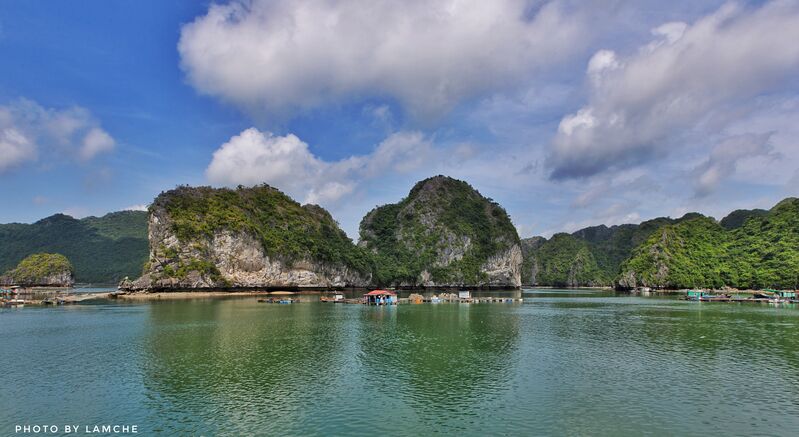 8E040CBB 1D9D 4B1E A556 28CFEE570929 8E040CBB 1D9D 4B1E A556 28CFEE570929