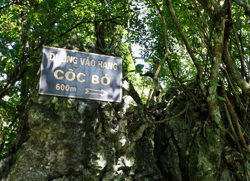 8A8F49BA 67BF 42E3 AFD2 EDE1B4AE4027 8A8F49BA 67BF 42E3 AFD2 EDE1B4AE4027