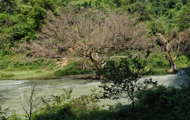 58C188E2 E9DA 4FCA B849 1D333F4AF8BE 58C188E2 E9DA 4FCA B849 1D333F4AF8BE