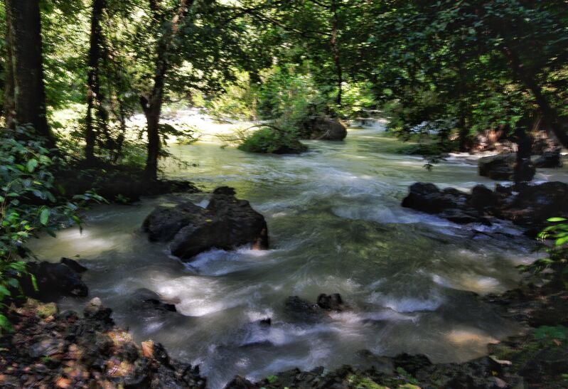 8EA09D98 3143 433C 82C5 E27ED5741681 8EA09D98 3143 433C 82C5 E27ED5741681