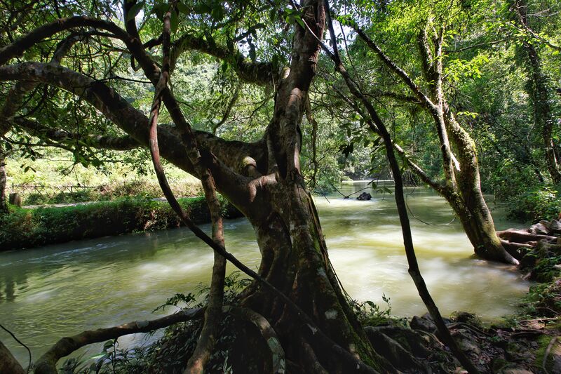 D1B7DAED 8279 41E8 BEF3 989874252103 D1B7DAED 8279 41E8 BEF3 989874252103