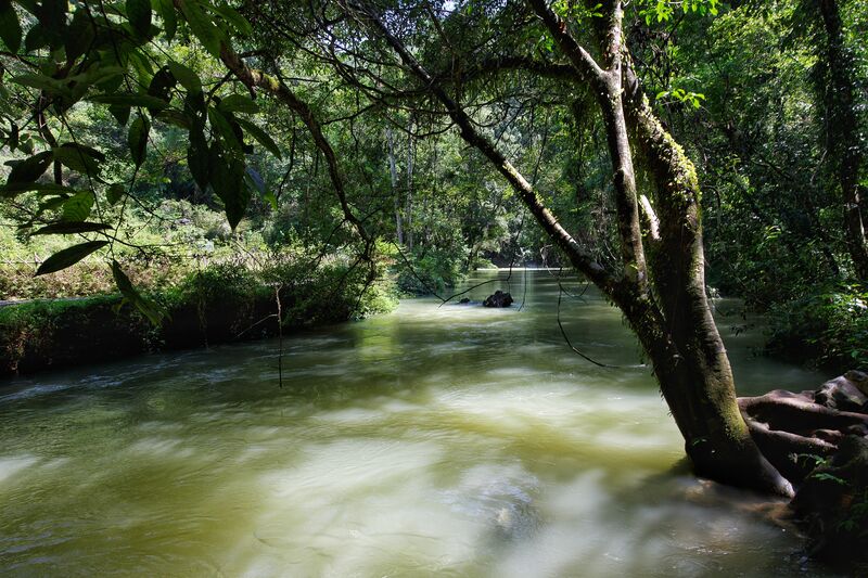 A91A95FE 7F7A 429E A08A 0A6631822A7A A91A95FE 7F7A 429E A08A 0A6631822A7A