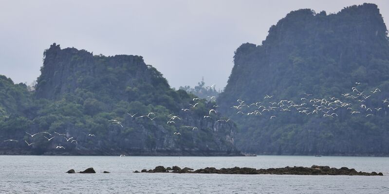 363F40EC 8B8B 4736 BBD6 D06A20AF957C 363F40EC 8B8B 4736 BBD6 D06A20AF957C