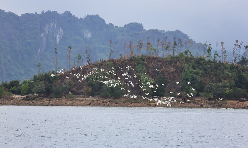 17D4AC68 3499 4D10 8CBF C3B2E51096E7 17D4AC68 3499 4D10 8CBF C3B2E51096E7