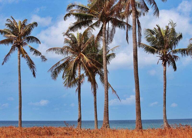 F1AC3F3A A00B 424A A837 671B746E9A83