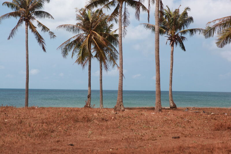 8EA89576 F005 46CC ABB0 9B72A7B5DAED