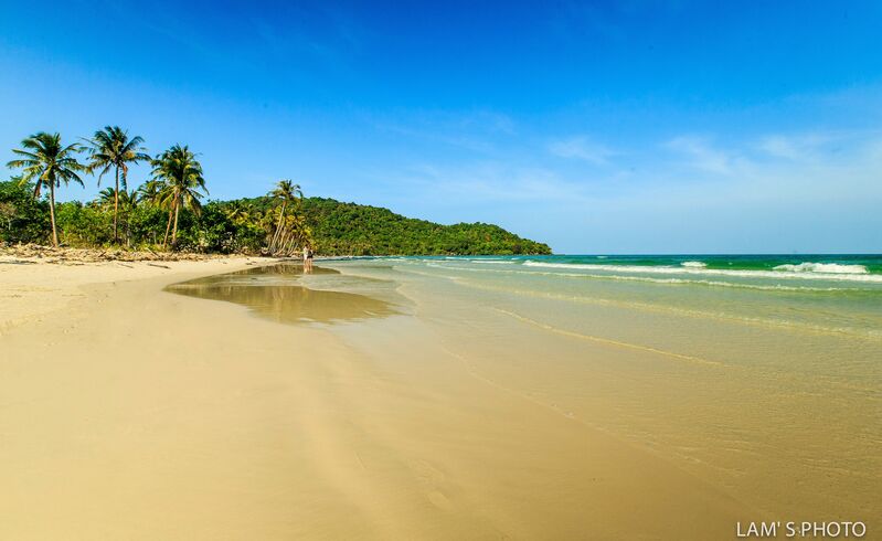 C54A0F8E DCB9 429E B022 46304A99ED96