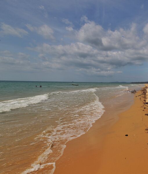 C34B40E4 F462 40BA 9911 198F137224B8