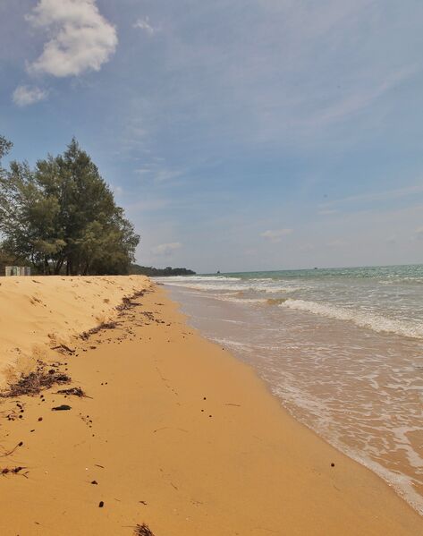 63F8A8BE CEFB 435A 8DF0 25629F4EE69F