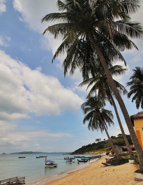 888D47A1 83A4 49A0 8866 B285DBBE62FE