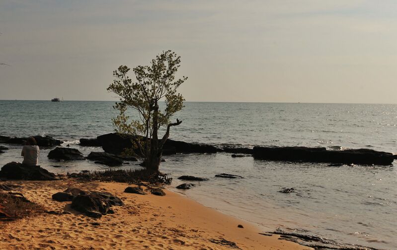 72F394D0 5FEC 4232 91C3 B57CAB6A523C