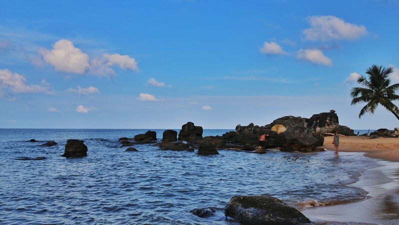 238A0B64 CB5C 4B70 927D BCFC19C43887