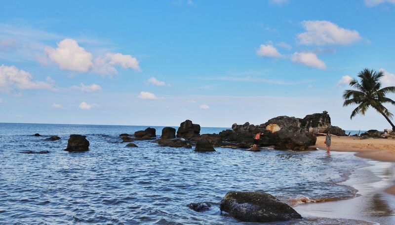 65417175 8108 429E 875A 7B088A6CFC9A