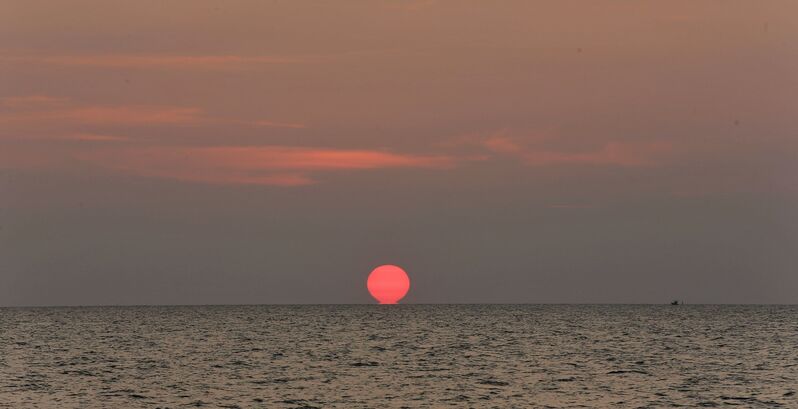 C5D1DB92 8B14 4380 AF1B 0BE436AB9D80