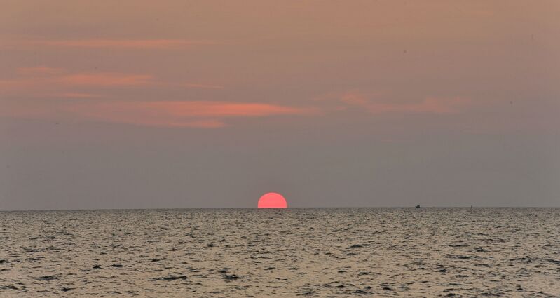 AF55D5BE B2B4 468A AE58 AA2ED7A0067A