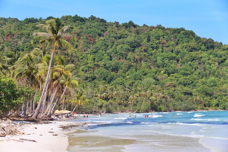 F2C47422 F4DB 423D A3FB 6B85C250360A